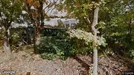 Lejlighed til leje, Kongens Lyngby, Skovbrynet - Ca. 150m2, Ca. 21.500&nbsp;kr.