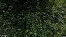 Værelse til leje, Svenstrup J, Valhal<span class="blurred street-number" onclick="ProcessAdRequest(116818)"><span class="hint">Se vejnr.</span>[xxxxxxxx]</span> - Ca. 95m2