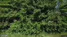 Lejlighed til leje, Klarup, Klarup Søpark<span class="blurred street-number" onclick="ProcessAdRequest(119969)"><span class="hint">Se vejnr.</span>[xxxxxxxx]</span>