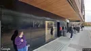 Lejlighed til leje, Odense C, Torvegade<span class="blurred street-number" onclick="ProcessAdRequest(125071)"><span class="hint">Se vejnr.</span>[xxxxxxxx]</span>