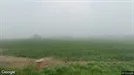 Lejlighed til leje, Snedsted, Iruplundvej<span class="blurred street-number" onclick="ProcessAdRequest(126767)"><span class="hint">Se vejnr.</span>[xxxxxxxx]</span>