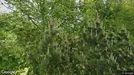 Lejlighed til leje, Martofte, Munkekrogen<span class="blurred street-number" onclick="ProcessAdRequest(127102)"><span class="hint">Se vejnr.</span>[xxxxxxxx]</span>