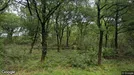 Lejlighed til leje, Skjern, Lindvigvej<span class="blurred street-number" onclick="ProcessAdRequest(129461)"><span class="hint">Se vejnr.</span>[xxxxxxxx]</span>