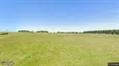 Lejlighed til leje, Bjerringbro, Hindbærkrattet<span class="blurred street-number" onclick="ProcessAdRequest(141596)"><span class="hint">Se vejnr.</span>[xxxxxxxx]</span>
