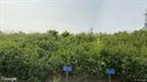 Lejlighed til leje, Herning, Koustrup Have<span class="blurred street-number" onclick="ProcessAdRequest(143231)"><span class="hint">Se vejnr.</span>[xxxxxxxx]</span>