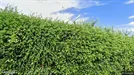 Lejlighed til leje, Bjert, Binderup Strandvej<span class="blurred street-number" onclick="ProcessAdRequest(144433)"><span class="hint">Se vejnr.</span>[xxxxxxxx]</span>