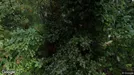 Lejlighed til leje, Børkop, Hjortedalsvej<span class="blurred street-number" onclick="ProcessAdRequest(41970)"><span class="hint">Se vejnr.</span>[xxxxxxxx]</span>