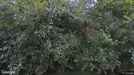 Lejlighed til leje, Kolding, Eltangvej<span class="blurred street-number" onclick="ProcessAdRequest(47754)"><span class="hint">Se vejnr.</span>[xxxxxxxx]</span>