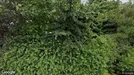 Lejlighed til leje, Løgstør, Skovbakkevej<span class="blurred street-number" onclick="ProcessAdRequest(7105)"><span class="hint">Se vejnr.</span>[xxxxxxxx]</span>