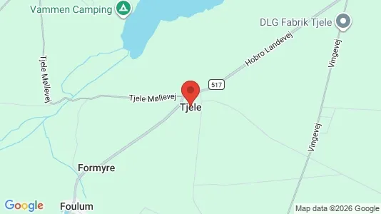 Lejligheder til leje i Tjele - Foto fra Google Street View
