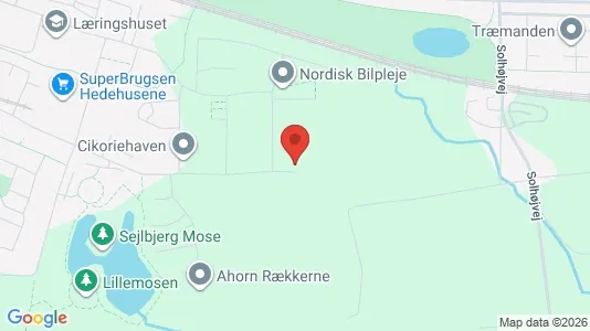 Lejligheder til leje i Hedehusene - Foto fra Google Street View