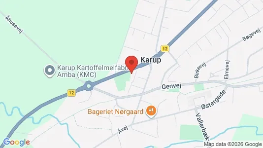 Lejligheder til leje i Karup J - kort over placeringen