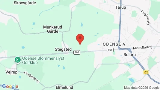 Huse til leje i Odense V - kort over placeringen