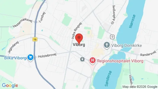 Huse til leje i Viborg - kort over placeringen