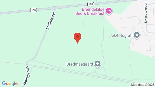 Lejligheder til leje i Odense S - kort over placeringen