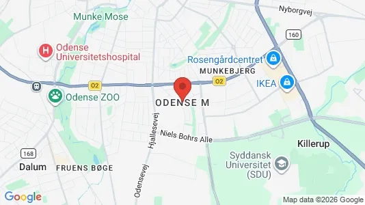 Lejligheder til leje i Odense M - kort over placeringen