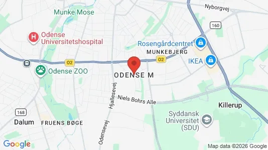 Huse til leje i Odense M - kort over placeringen