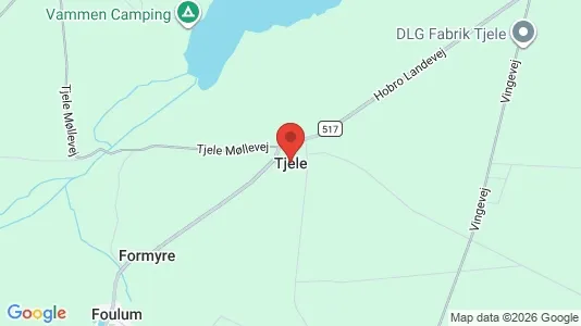 Huse til leje i Tjele - kort over placeringen