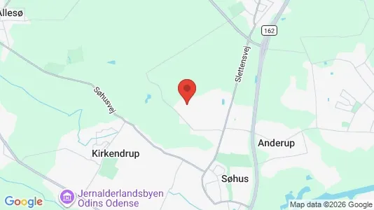 Huse til leje i Odense N - kort over placeringen