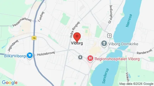 Huse til leje i Viborg - kort over placeringen